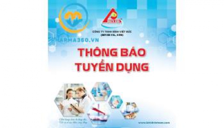 CÔNG TY TNHH BÌNH VIỆT ĐỨC