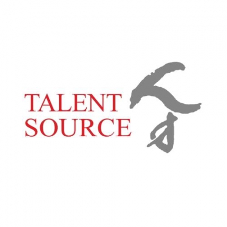 TALENT SOURCE CONSULTING