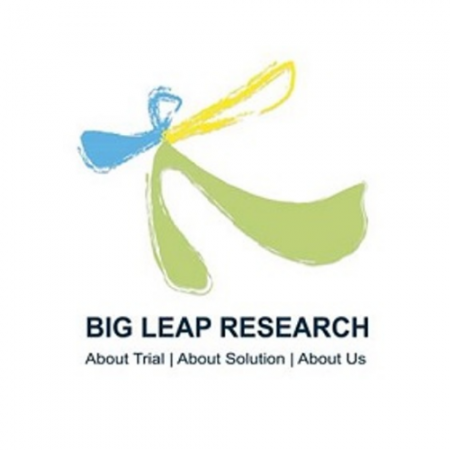 BigLeap Research