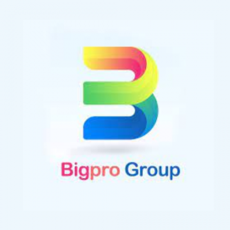 Bigpro Group