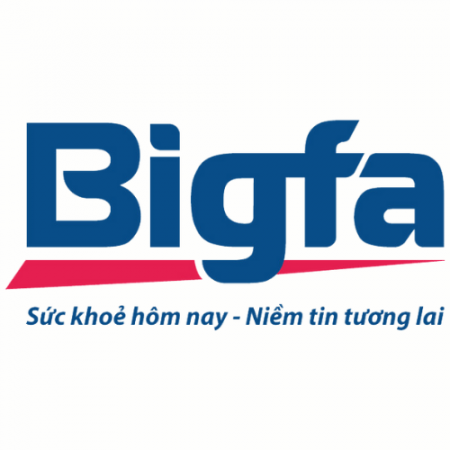 Công ty Cổ phần Bigfa